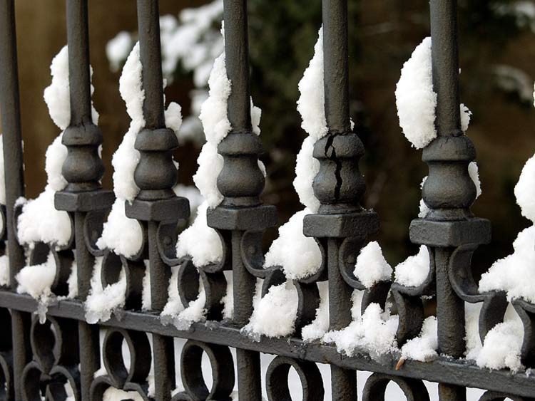 La Neve Di San Pietro (Italian Edition) Kindle Edition